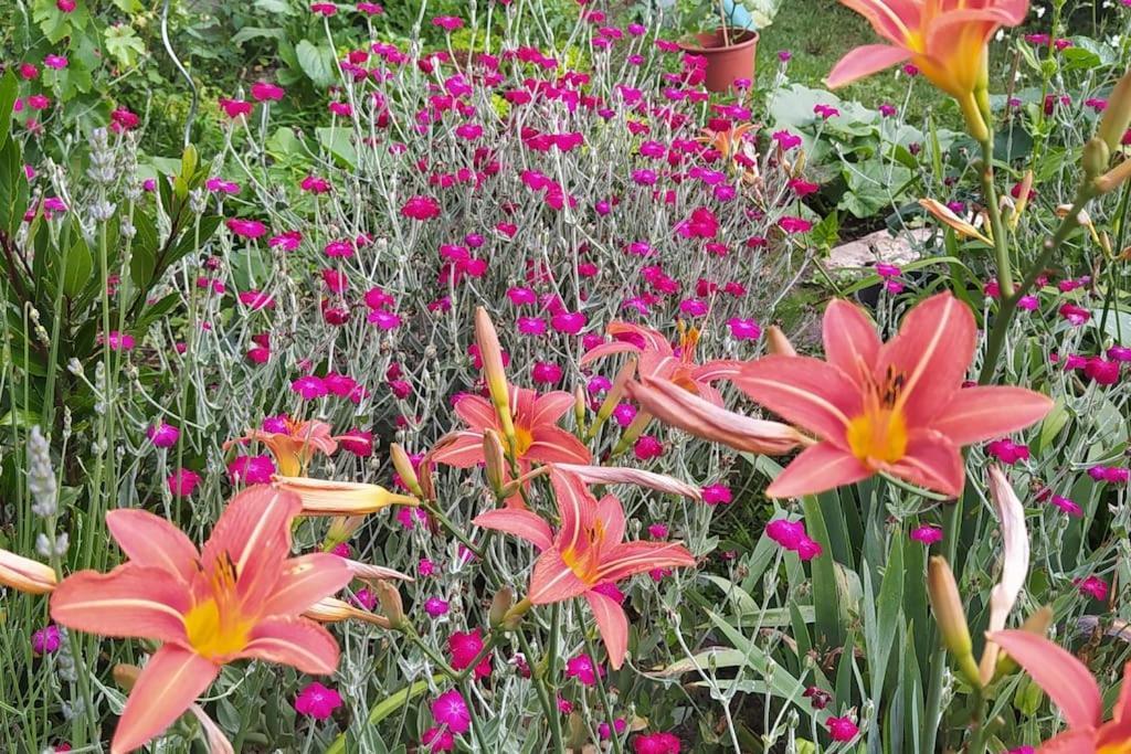 Gite Les Lilas La Genevraye Buitenkant foto